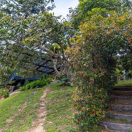 Hotel Mirador De Boquia Salento Kültér fotó